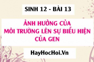 Mối quan hệ giữa Gen và Tính trạng, Sự tương tác giữa kiểu Gen và Môi trường, Mức phản ứng của Gen - Sinh 12 bài 13